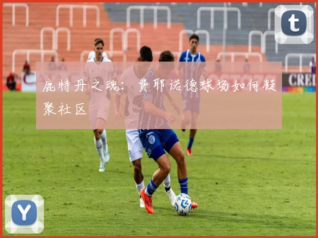 鹿特丹之魂：费耶诺德球场如何凝聚社区