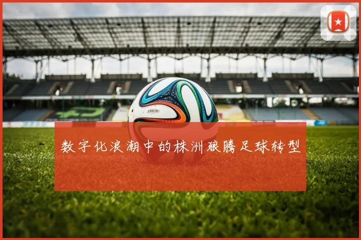 数字化浪潮中的株洲狼腾足球转型