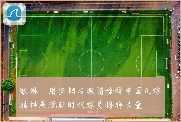 张琳芃用坚韧与激情诠释中国足球精神展现新时代球员榜样力量