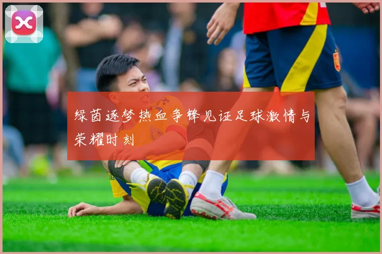 绿茵逐梦热血争锋见证足球激情与荣耀时刻