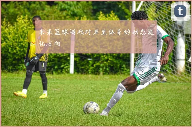 未来篮球游戏对库里体系的动态进化方向