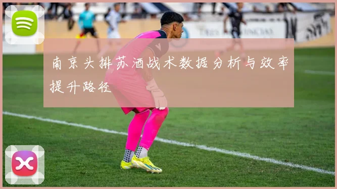南京头排苏酒战术数据分析与效率提升路径