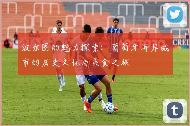 波尔图的魅力探索：葡萄牙海岸城市的历史文化与美食之旅